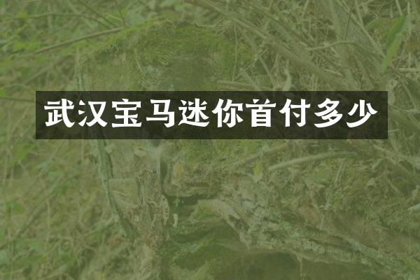 武汉宝马迷你首付多少