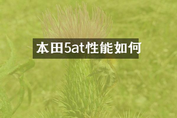 本田5at性能如何