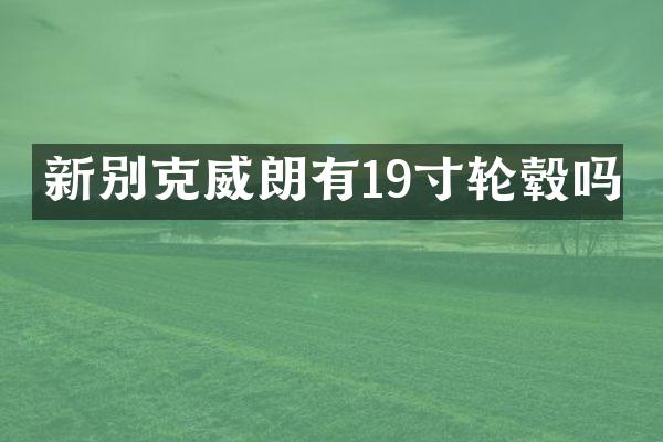 新别克威朗有19寸轮毂吗