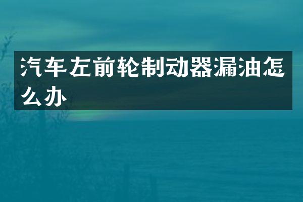 汽车左前轮制动器漏油怎么办