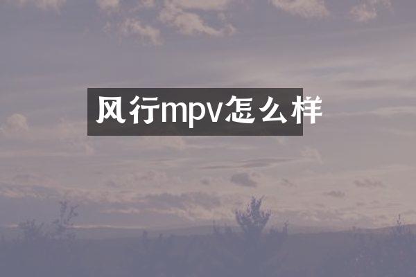 风行mpv怎么样