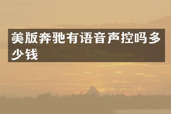 美版奔驰有语音声控吗多少钱