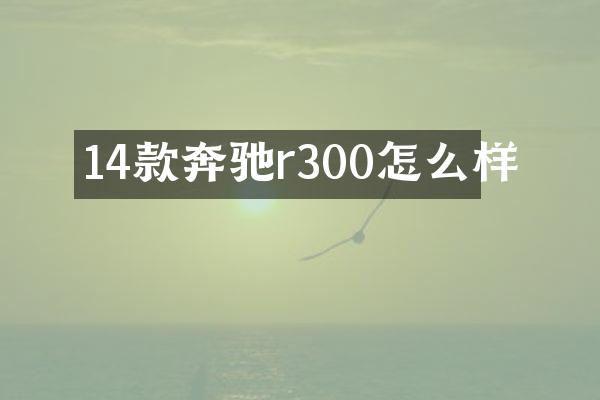 14款奔驰r300怎么样