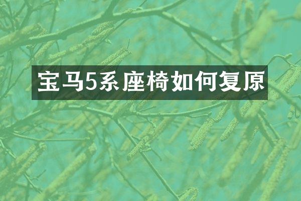 宝马5系座椅如何复原
