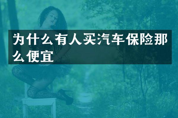 为什么有人买汽车保险那么便宜