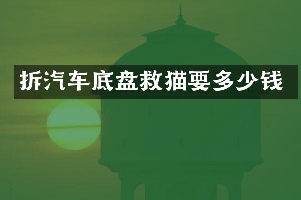 拆汽车底盘救猫要多少钱