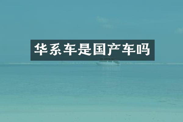华系车是国产车吗
