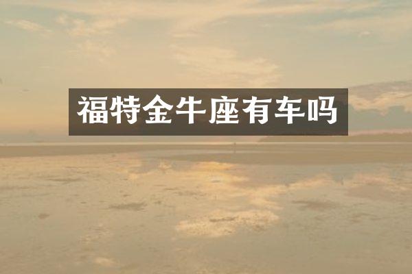 福特金牛座有车吗