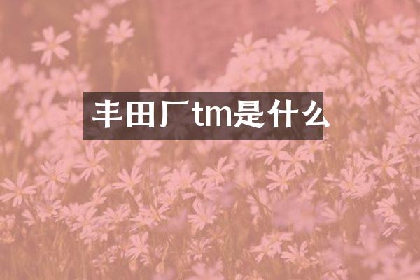 丰田厂tm是什么