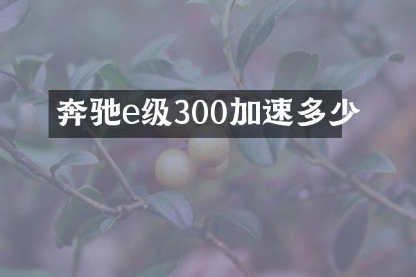 奔驰e级300加速多少
