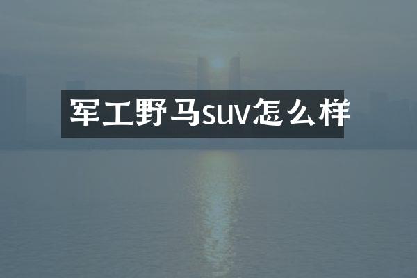 军工野马suv怎么样