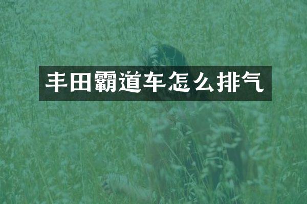 丰田霸道车怎么排气