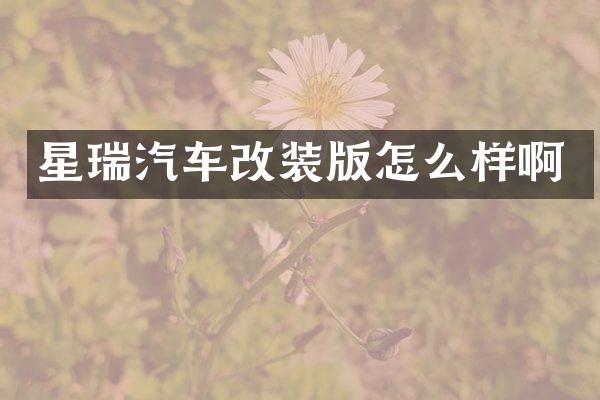星瑞汽车改装版怎么样啊
