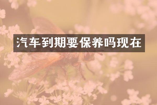 汽车到期要保养吗现在