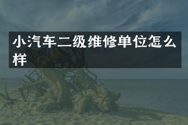 小汽车二级维修单位怎么样