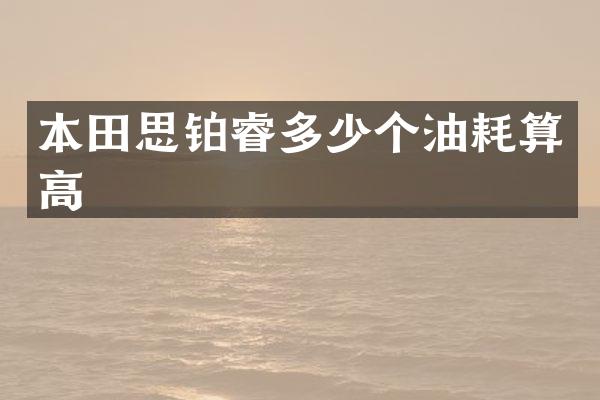 本田思铂睿多少个油耗算高