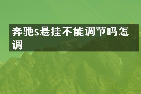 奔驰s悬挂不能调节吗怎么调