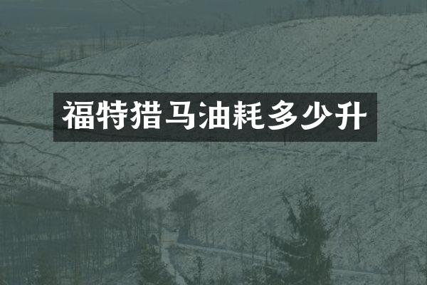 福特猎马油耗多少升
