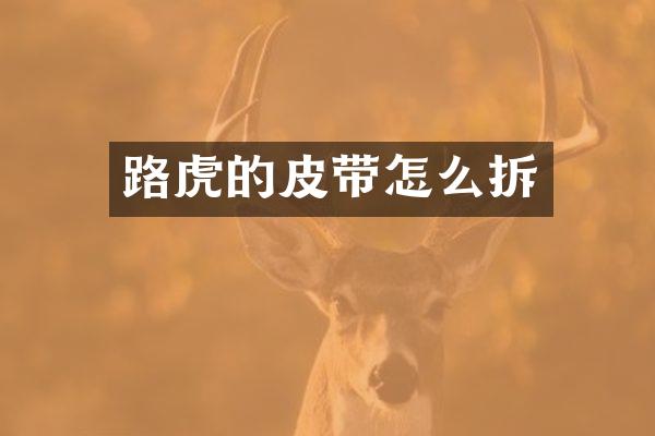 路虎的皮带怎么拆