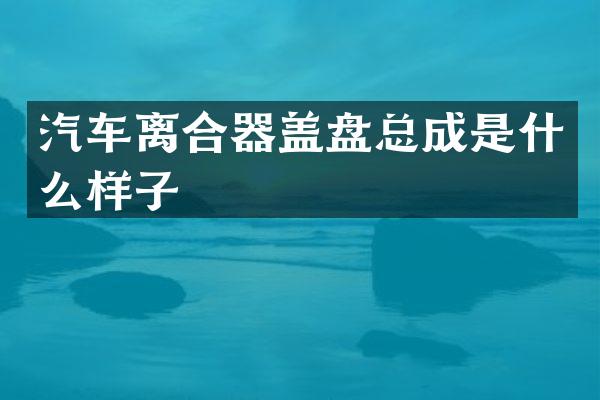 汽车离合器盖盘总成是什么样子