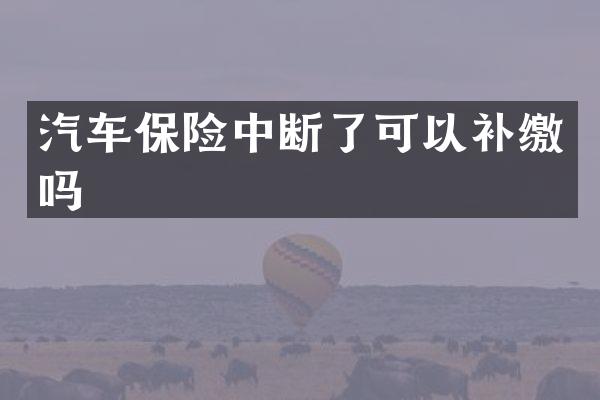 汽车保险中断了可以补缴吗