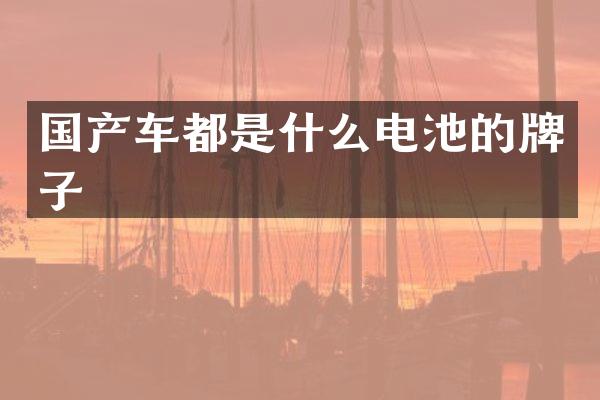 国产车都是什么电池的牌子