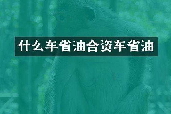什么车省油合资车省油