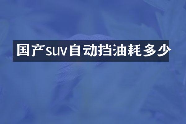 国产suv自动挡油耗多少