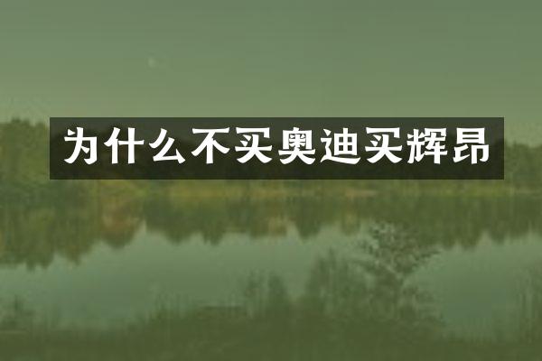 为什么不买奥迪买辉昂