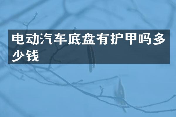 电动汽车底盘有护甲吗多少钱