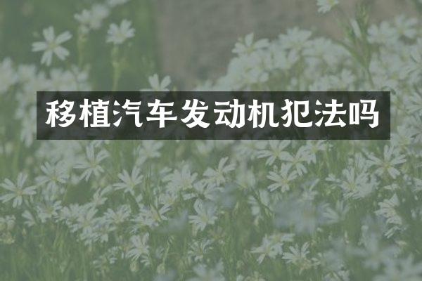 移植汽车发动机犯法吗
