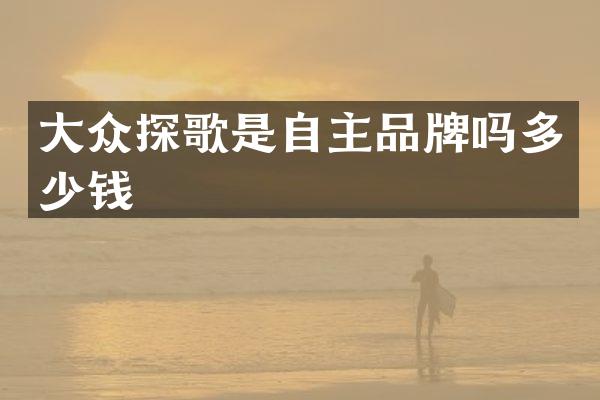 大众探歌是自主品牌吗多少钱