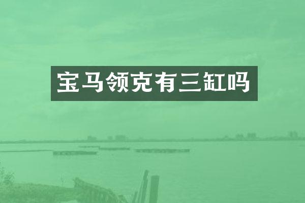 宝马领克有三缸吗