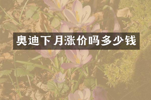 奥迪下月涨价吗多少钱