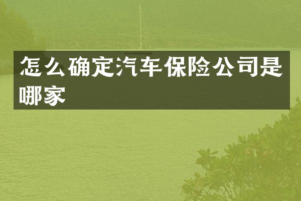 怎么确定汽车保险公司是哪家