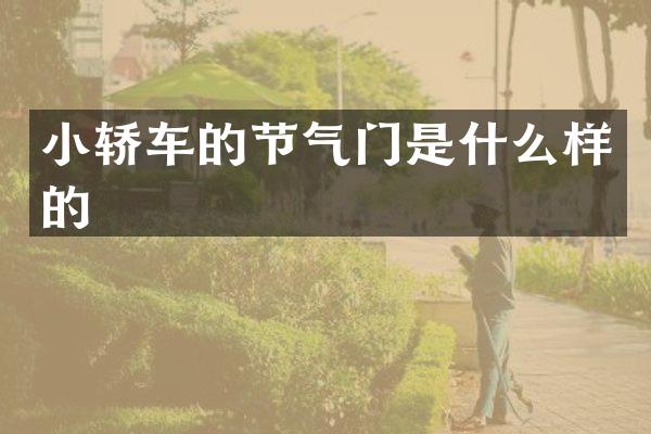 小轿车的节气门是什么样的