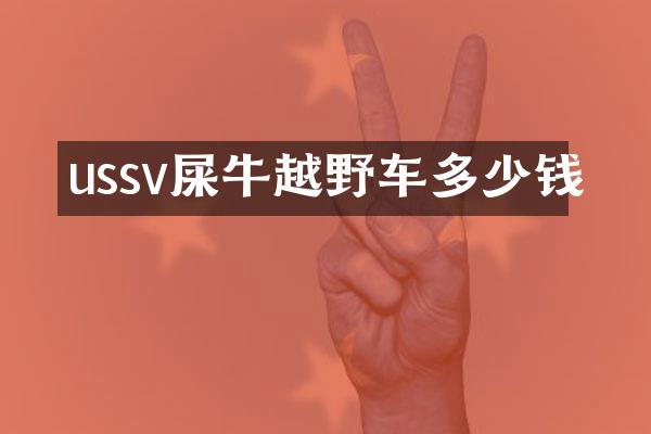 ussv屎牛越野车多少钱
