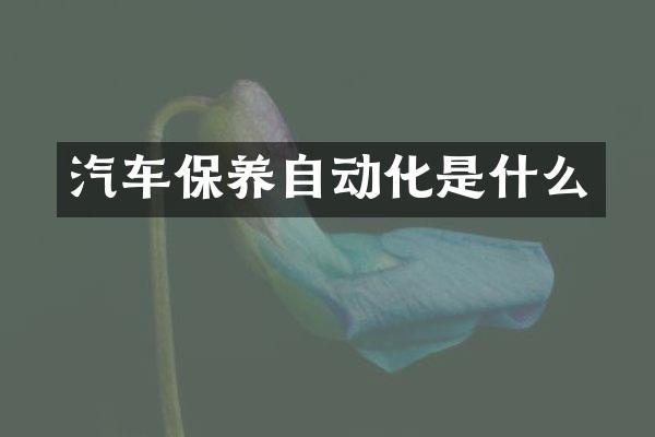 汽车保养自动化是什么