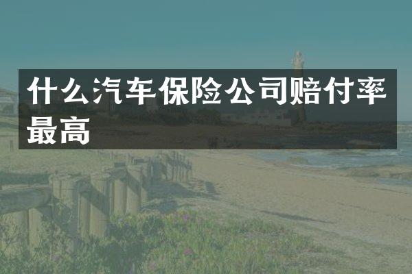 什么汽车保险公司赔付率最高