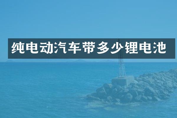 纯电动汽车带多少锂电池