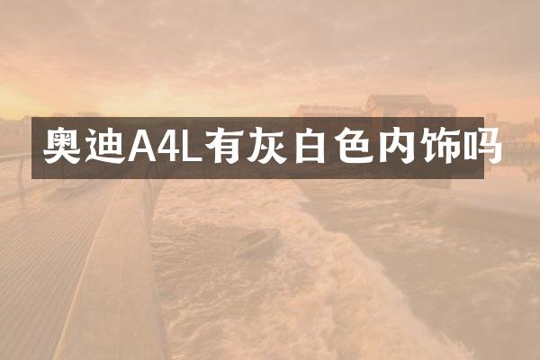 奥迪A4L有灰白色内饰吗