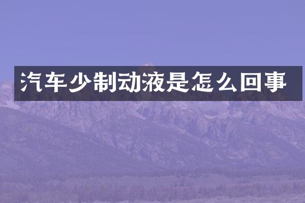 汽车少制动液是怎么回事