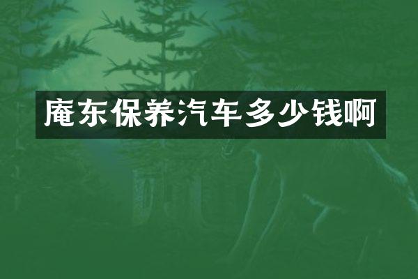 庵东保养汽车多少钱啊