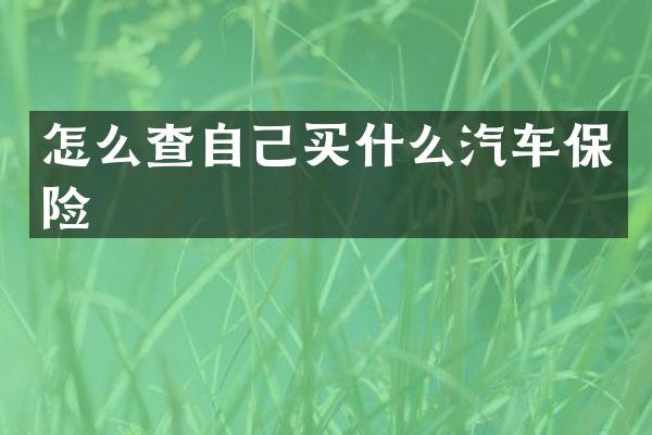 怎么查自己买什么汽车保险