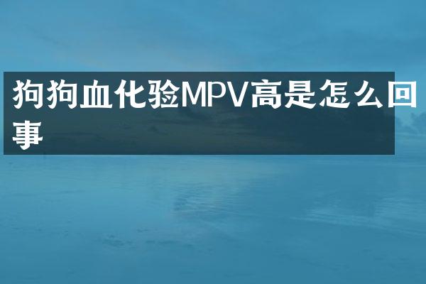 狗狗血化验MPV高是怎么回事