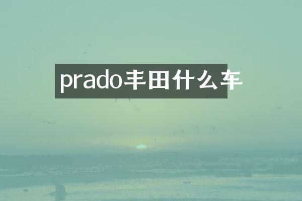 prado丰田什么车
