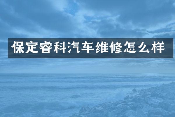 保定睿科汽车维修怎么样
