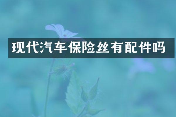 现代汽车保险丝有配件吗