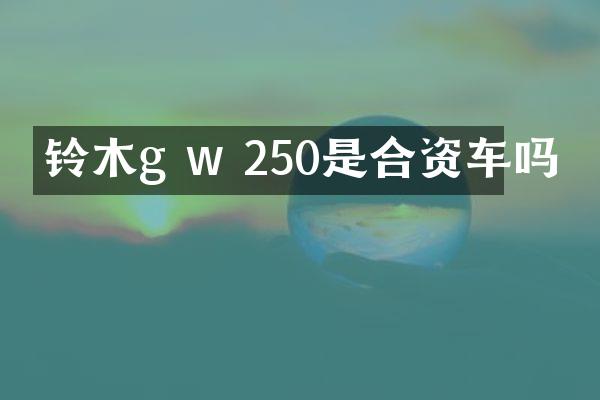 铃木g w 250是合资车吗