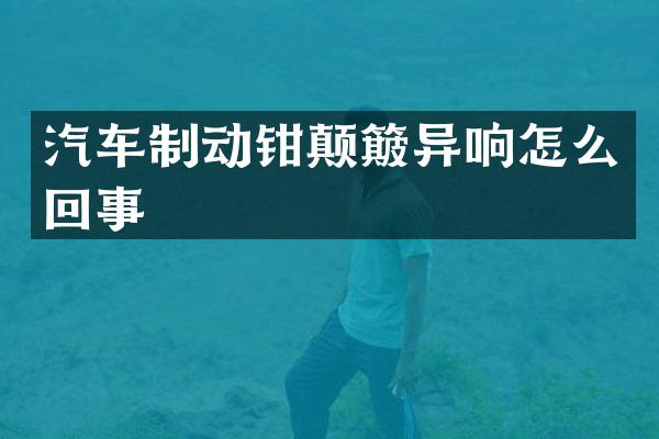 汽车制动钳颠簸异响怎么回事